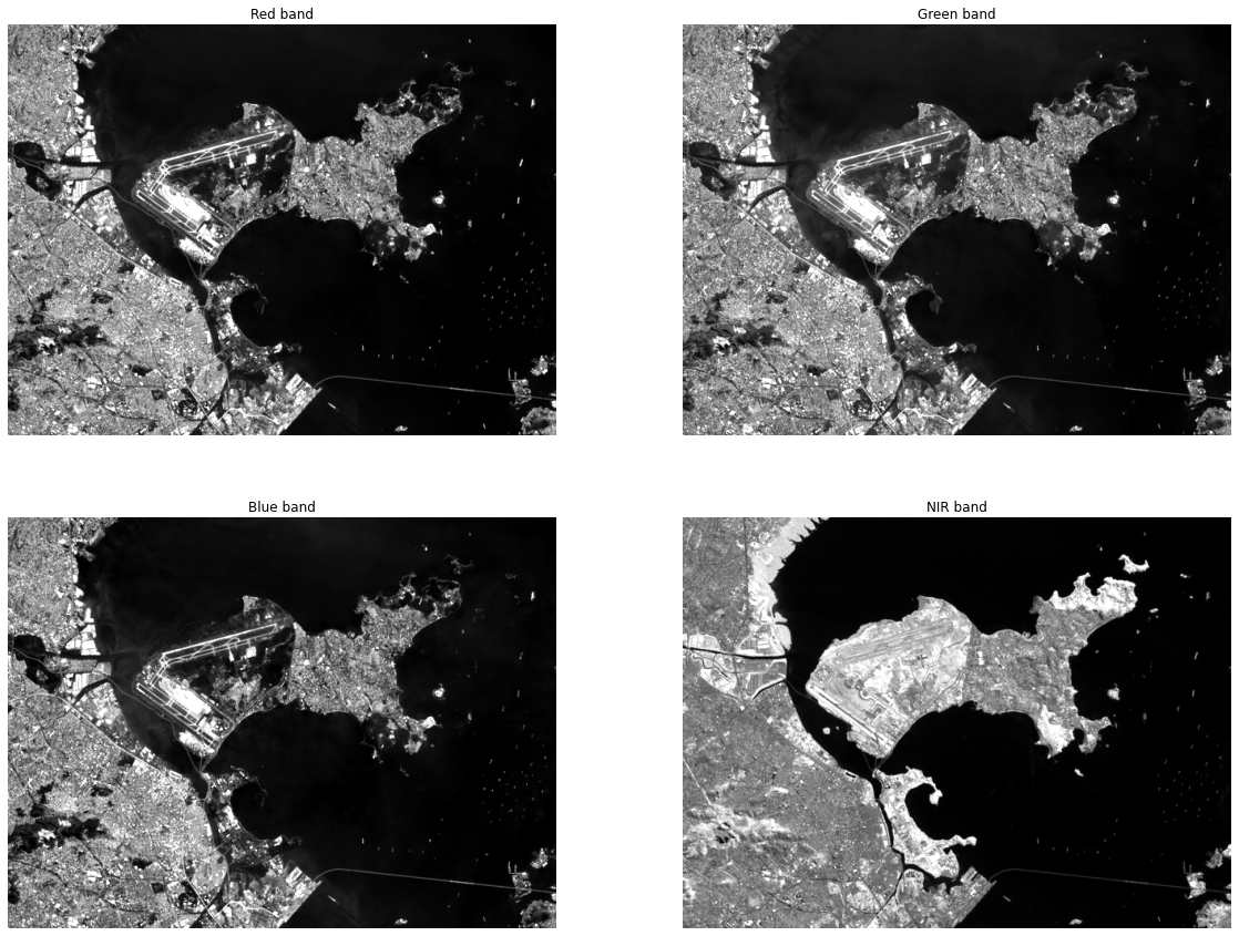 Red, Green, Blue, and Near-Infrared bands showing spectral differences in vegetation response