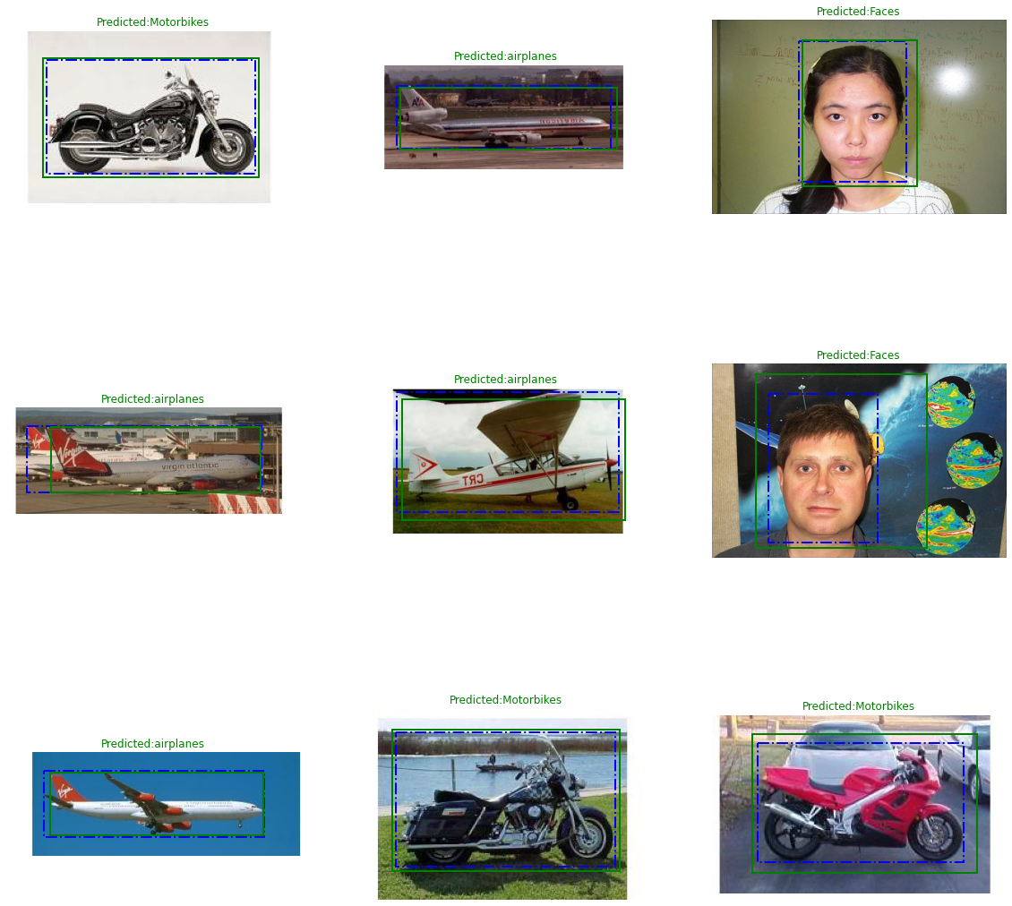 Test predictions showing predicted bounding boxes and class labels