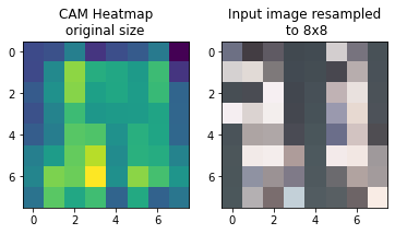 Side-by-side comparison of 8x8 CAM heatmap and input image downsampled to 8x8